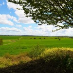Fields from Luttre