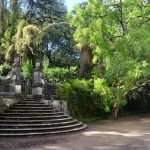 Botanical garden of Coimbra, Portugal